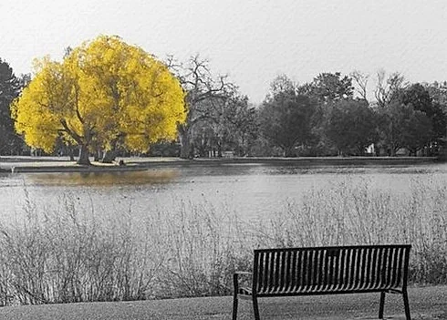 Ankara Sincan Kereste